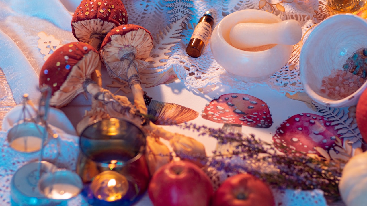 what you need to know 13×4 lace front wig